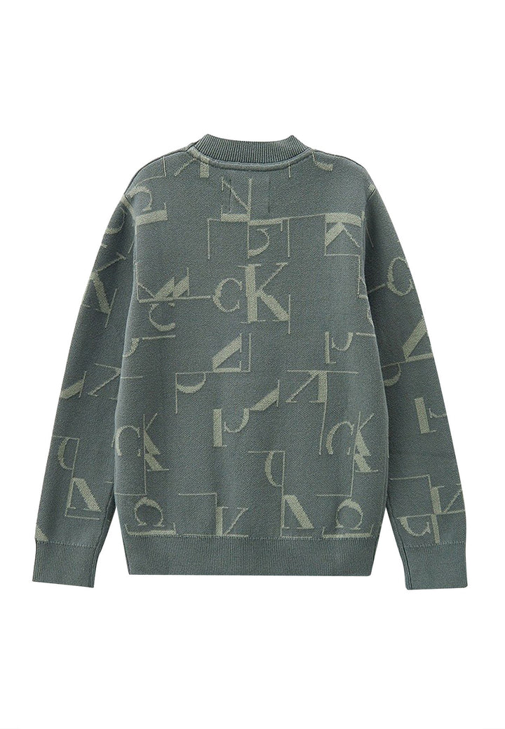 ViaMonte Shop | Calvin Klein Jeans maglia grigia bambino in cotone